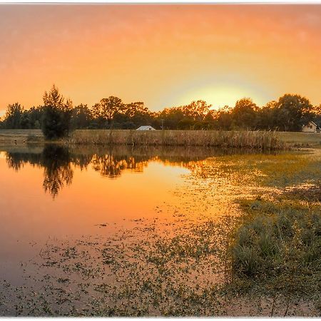 Madigan Wine Country Cottages Lovedale Eksteriør bilde