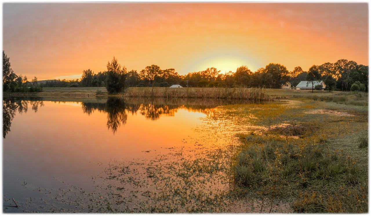 Madigan Wine Country Cottages Lovedale Eksteriør bilde