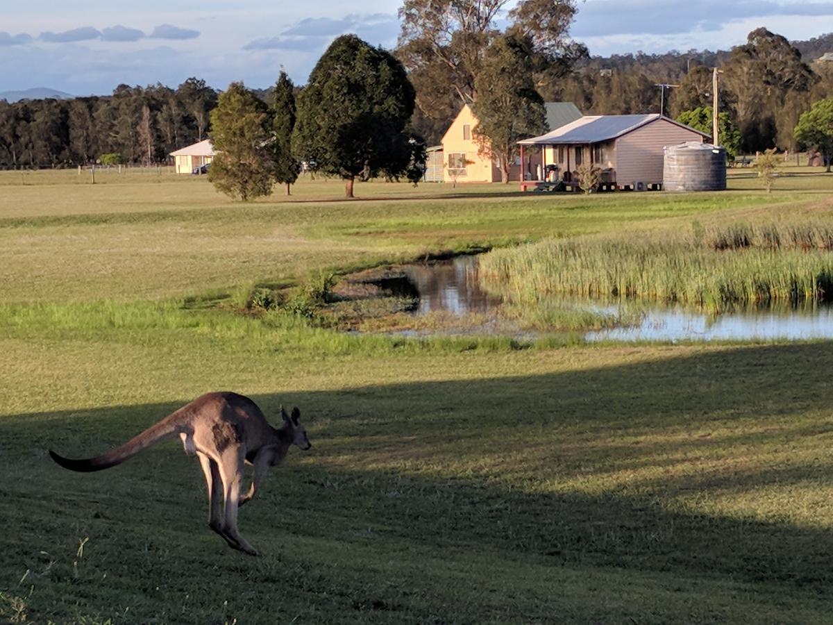 Madigan Wine Country Cottages Lovedale Eksteriør bilde