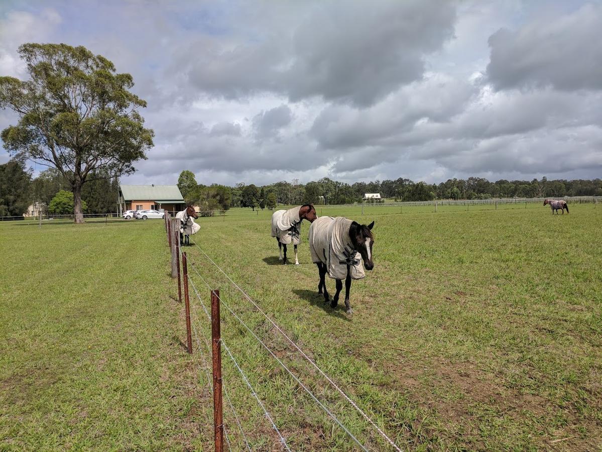 Madigan Wine Country Cottages Lovedale Eksteriør bilde
